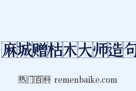 麻城赠枯木大师造句是什么意思的图片